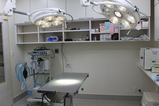 photo/surgery（現HPの写真・仮）